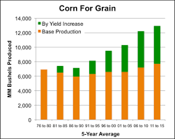 High-yield GMO crops in a field